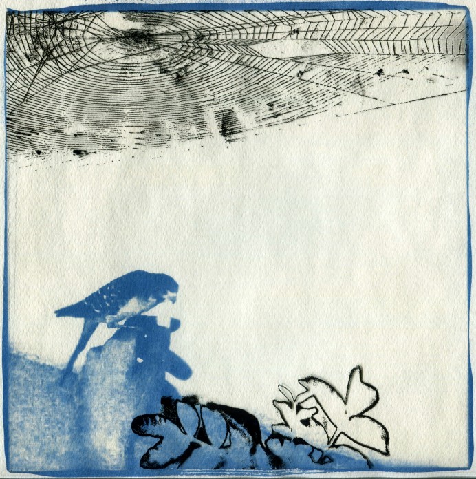 Wide Awake - Siryne Eloued - Ondulation
