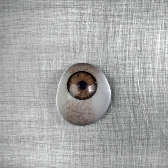 A model of an eyeball on a table.