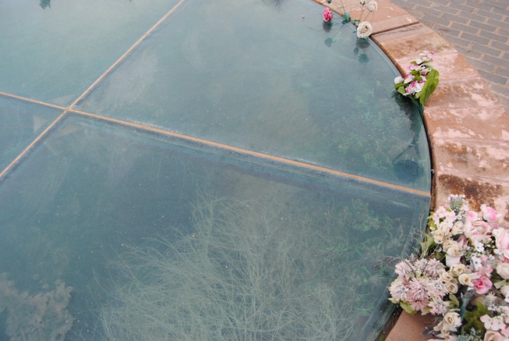 A pool of water with flowers surrounding.
